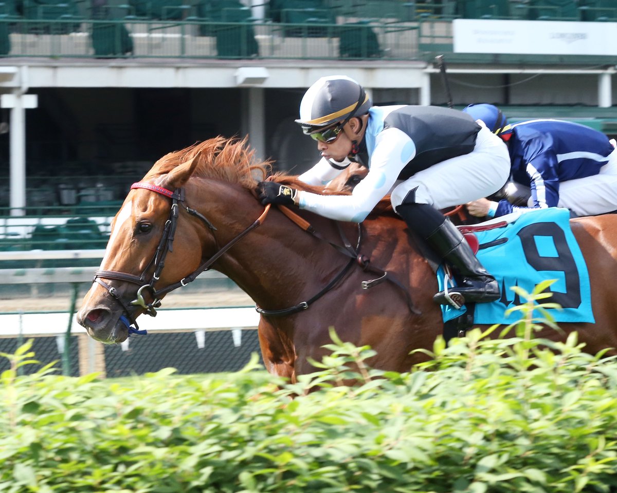 BH_AEberhardt's tweet photo. A BreedersCup (G1) turf winner last year at 2, #Sharing with @jockeyfranco was triumphant in her 2020 debut in the #Tepin @ChurchillDowns for @GrahamMotion @EclipseTBP @Gainesway B-@SagamoreRacing @FasigTiptonCo #Speightstown o/o #SharedAccount More @BH_MDaugherty @CoadyPhoto https://t.co/DnVh90F9F0