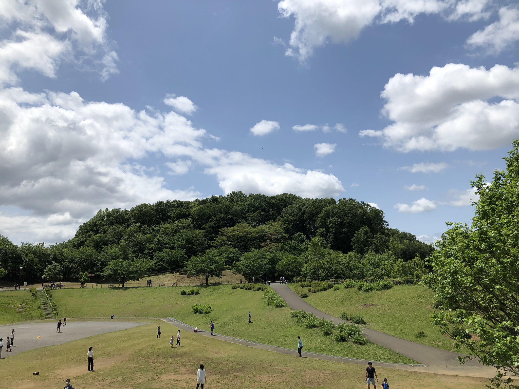 山男 東京都町田市にある小高い丘 三ツ目山 にいます 自粛解除前のプレウォーキング O 体力が相当落ちている感じですがノンビリ歩いています 散歩中でもついつい 山 を目指ししまうワタシ ๑ ᴗ 橋本のビルと丹沢山地が見えます 三ツ目山 T