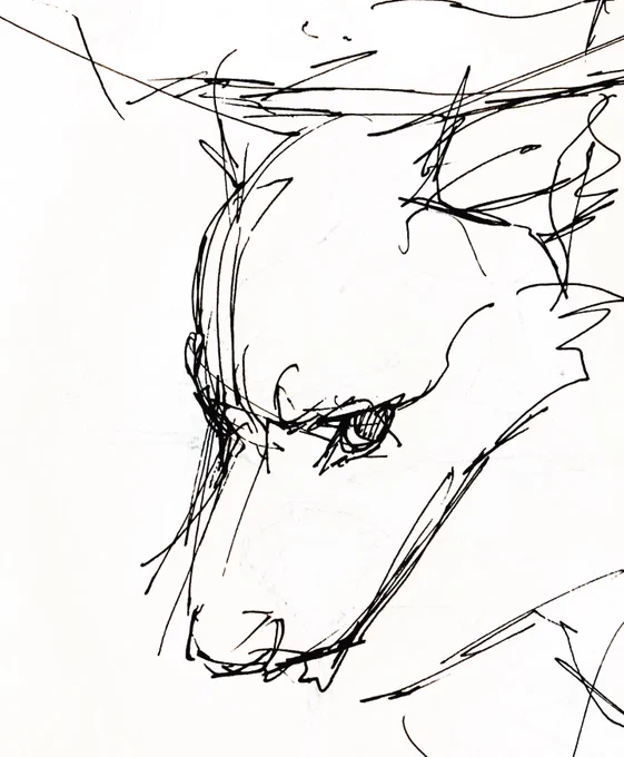 Some sketches of my dog Kurama 