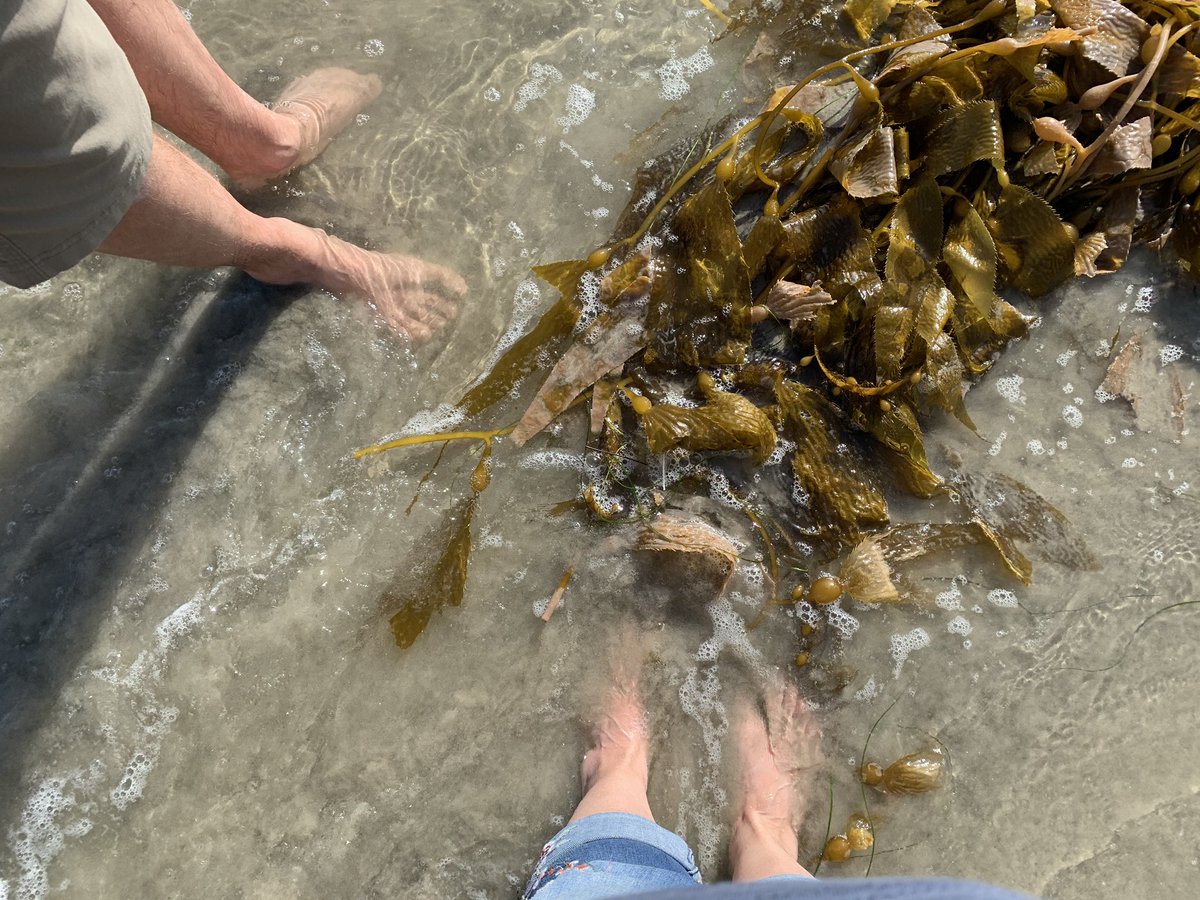 tlwforgiven's tweet photo. Nothing like the cool salt water running over your feet. https://t.co/RRhMoNc6iS