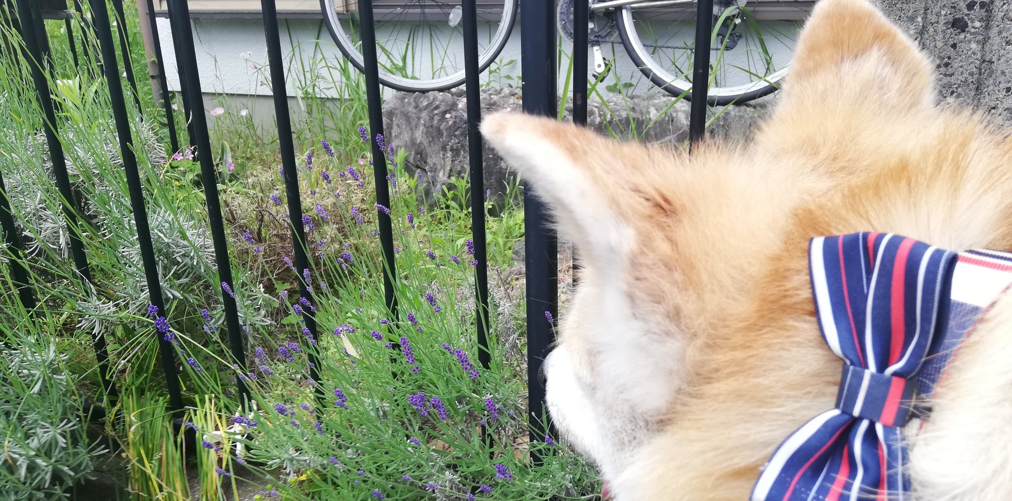 岩田 武 on Twitter 