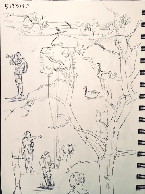 i'm no good at trad drawing but! some sketches from a wildlife reserve :D 