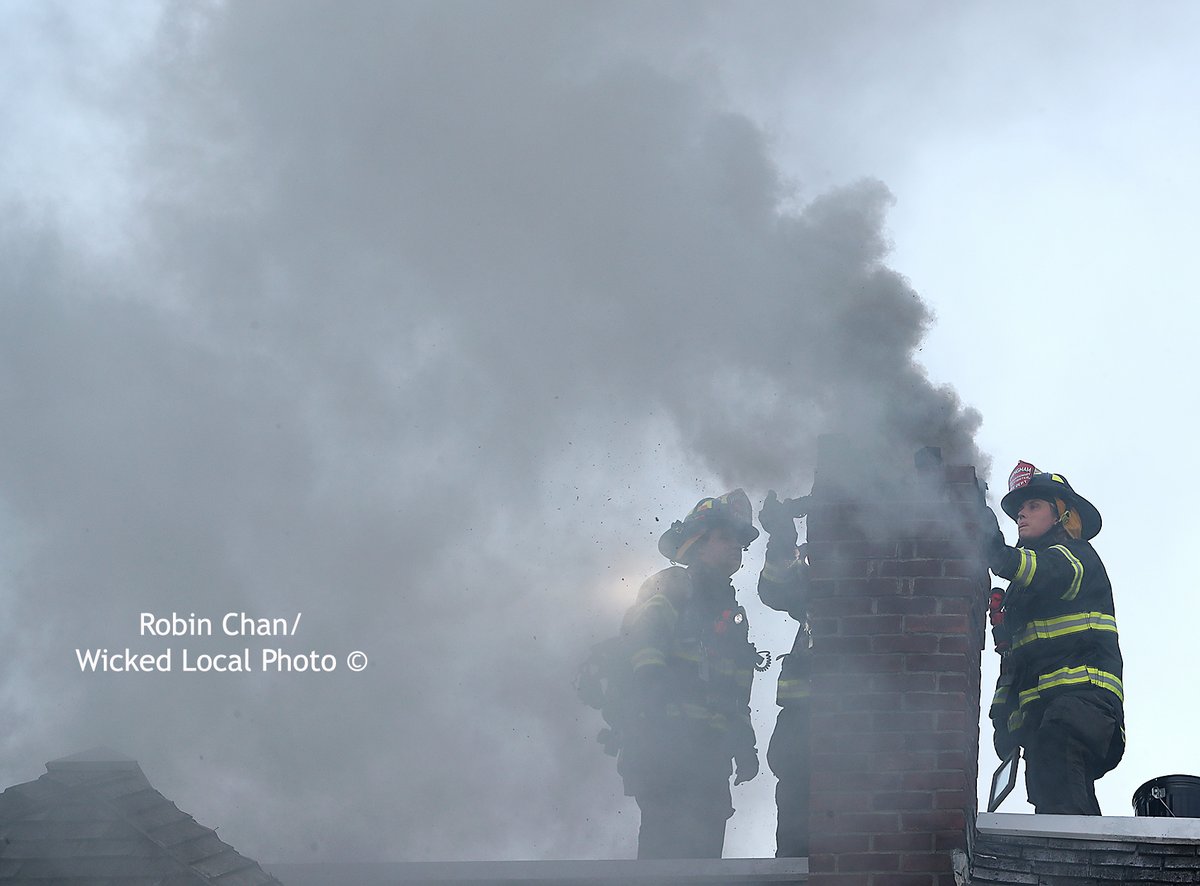 Robin Chan tweet media