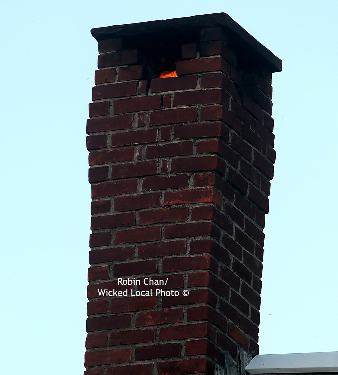 Robin Chan tweet media