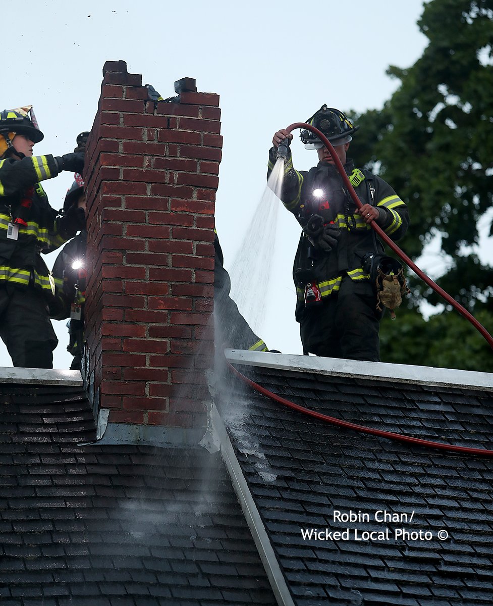 Robin Chan tweet media