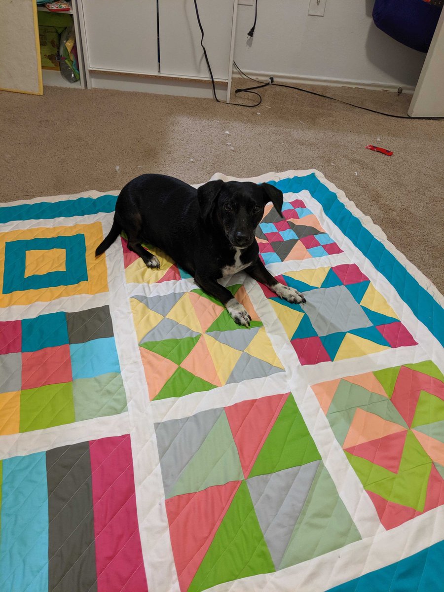 FatQuarterShop's tweet photo. This is Lilly's dog, Sherlock, who decided that her Ultimate Beginner Quilt belonged to him. But look at that precious face! Do your pets do anything sweet that always makes you give in?
#fqspets #fqsfun https://t.co/3oDcsuf1Kh