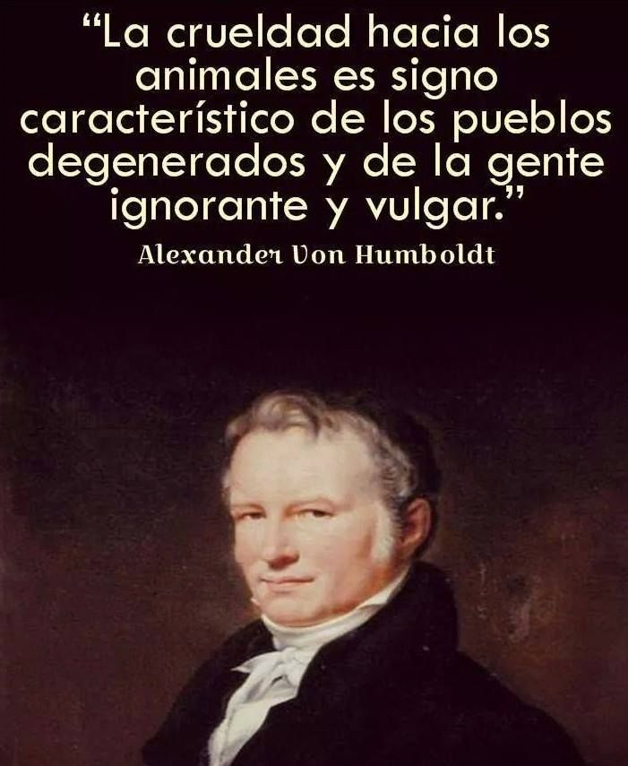 AlexVonH1769's tweet photo. Por favor, tomemos conciencia...
No mas abuso hacia nuestros animales https://t.co/Z0ddANl1Cp