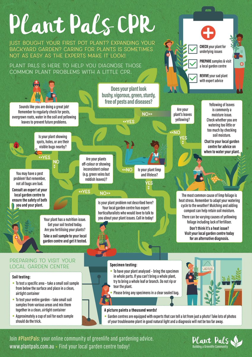 NGINA_AU's tweet photo. Do you have a plant that's feeling a little off colour? Does it need a bit of TLC? Plant Pals' CPR fact sheet can help! #PlantPals Greenlife Industry Australia - GIA https://t.co/rW3hz9MP3k