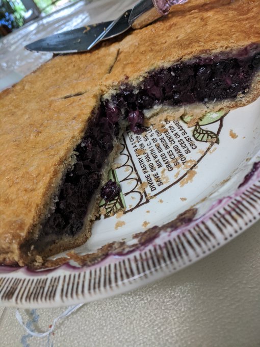 It was a hot 🔥 day today but that didn't stop me ! 💃 I still made pie mmmm my favorite blueberry 💙 https://t<a href="/tag/hammocklife"class="tags"><span>#hammocklife</span></a>