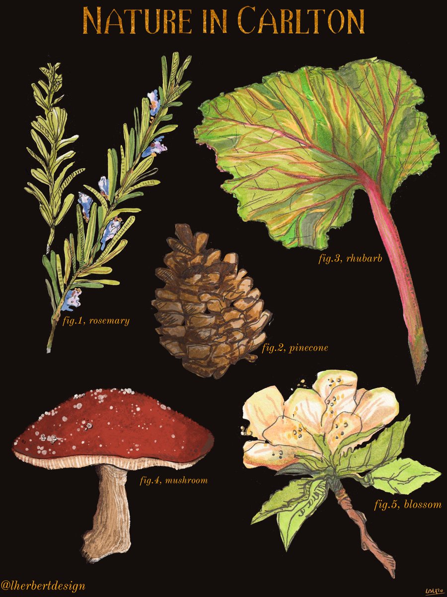 Lu Herbert tweet media