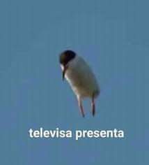 luvluvluvtoyou's tweet photo. Abro hilo para contar como hice creer a una academia entera que un idol de K-pop era mi novio y terminaron llamando a mis padres para advertirles que estaba en una relación de poder https://t.co/XNUlhTrySH
