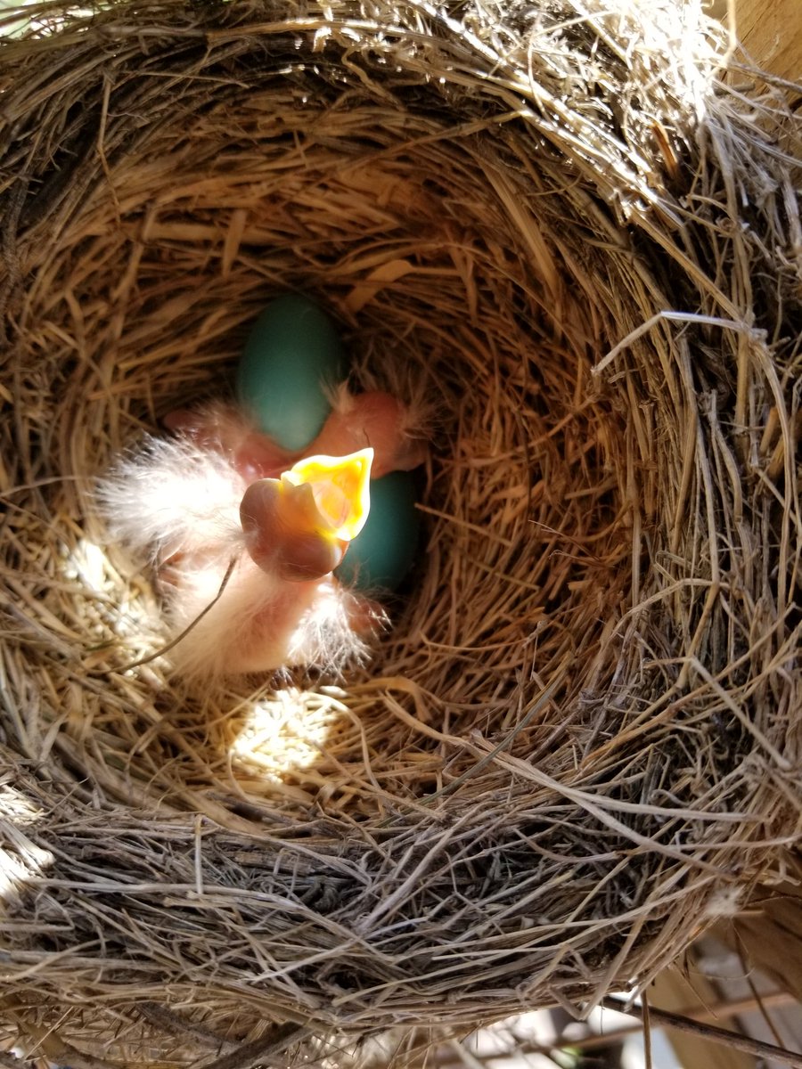 Tim Dumonceaux tweet media