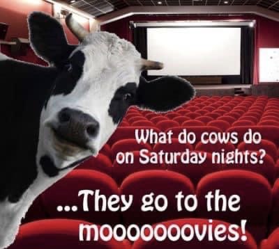Wishing everyone a “cowrazy” and “moovalous” Memorial Day weekend. What mooooovie will you be seeing?