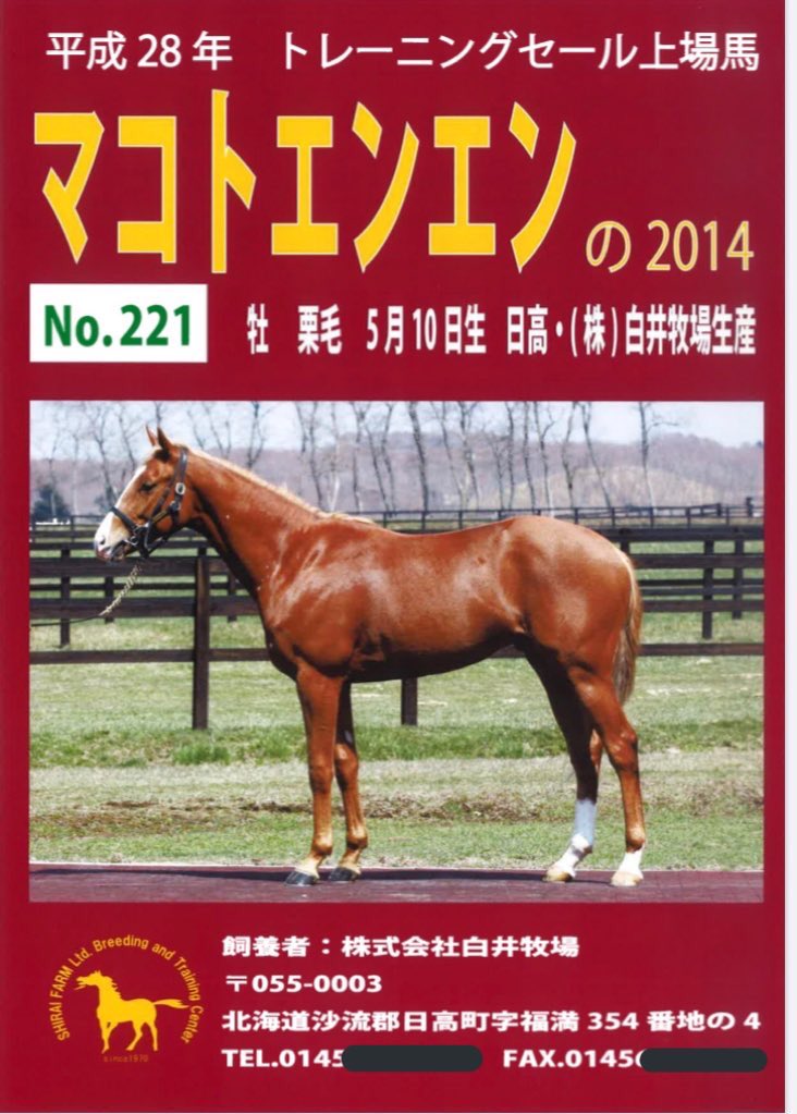 土曜日新潟1R障害未勝利で白井牧場生産・育成の #マスラオ が勝ちました🥇オーナーのGリビエール様、金子光希騎手、金成貴史調教師をはじめ厩舎スタッフの皆様、その他関係者の方々おめでとうございます。ありがとうございました。昇級戦でもご武運をお祈りしております。