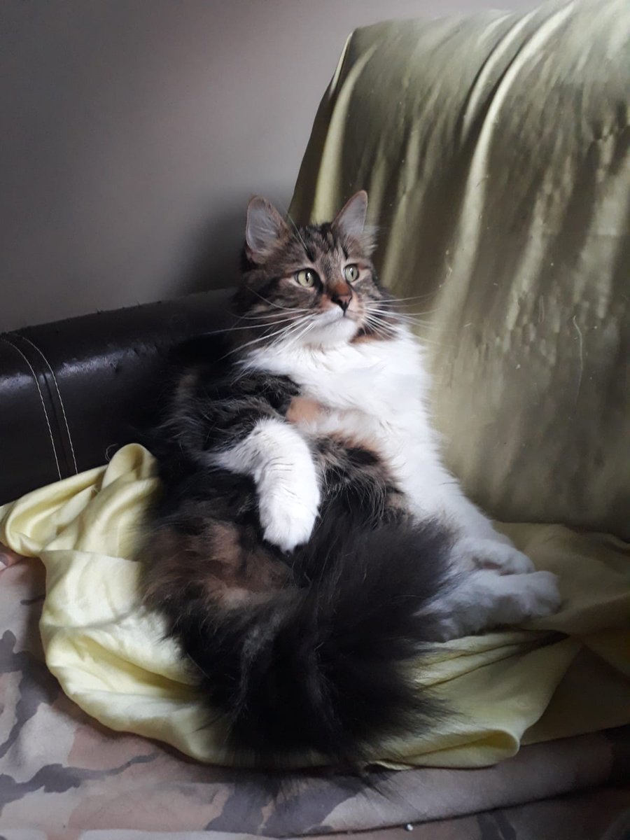 O dobloyu satmayacaktin enişte