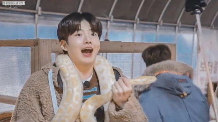 junkyu really loves animal so he often took you to dates with animals involved