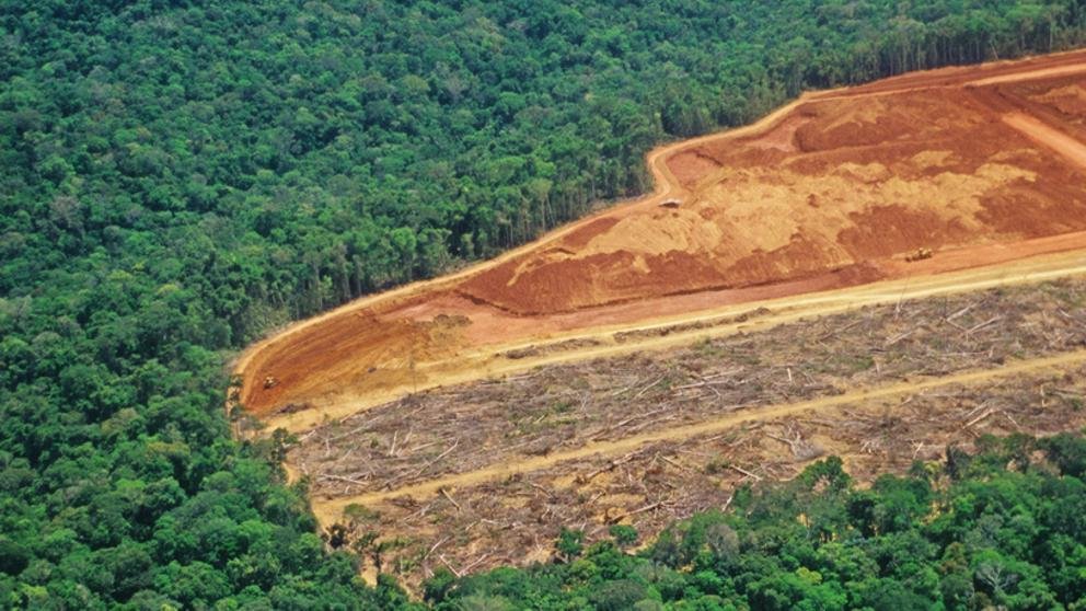 No nos sorprende de esta gestión, que profundizó la deforestación del Amazonas

No nos sorprende que sigan con la falsa dicotomía entre desarrollo y sustentabilidad

Pero no nos vamos a callar. No vamos a permitir que nos roben el futuro

El tiempo para exigir cambios es ahora