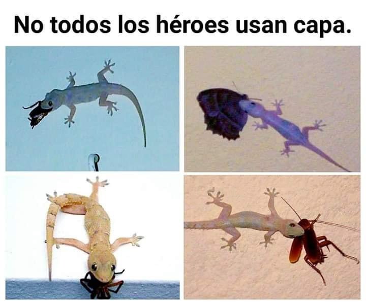 Antes de matarla, recuerda para que fueron creadas!