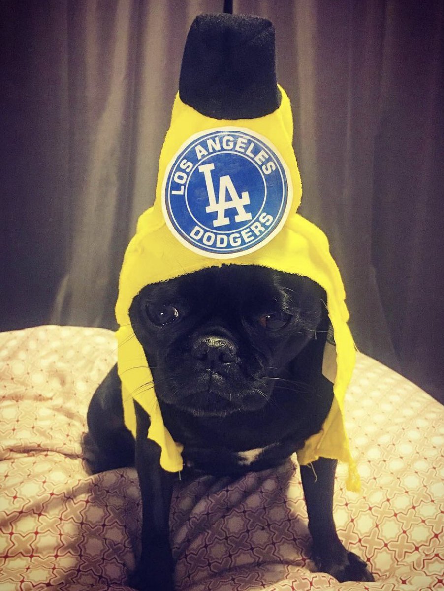 manhandz's tweet photo. @DodgerInsider our Gooshkie as Kiké https://t.co/VQHdyGtUmo
