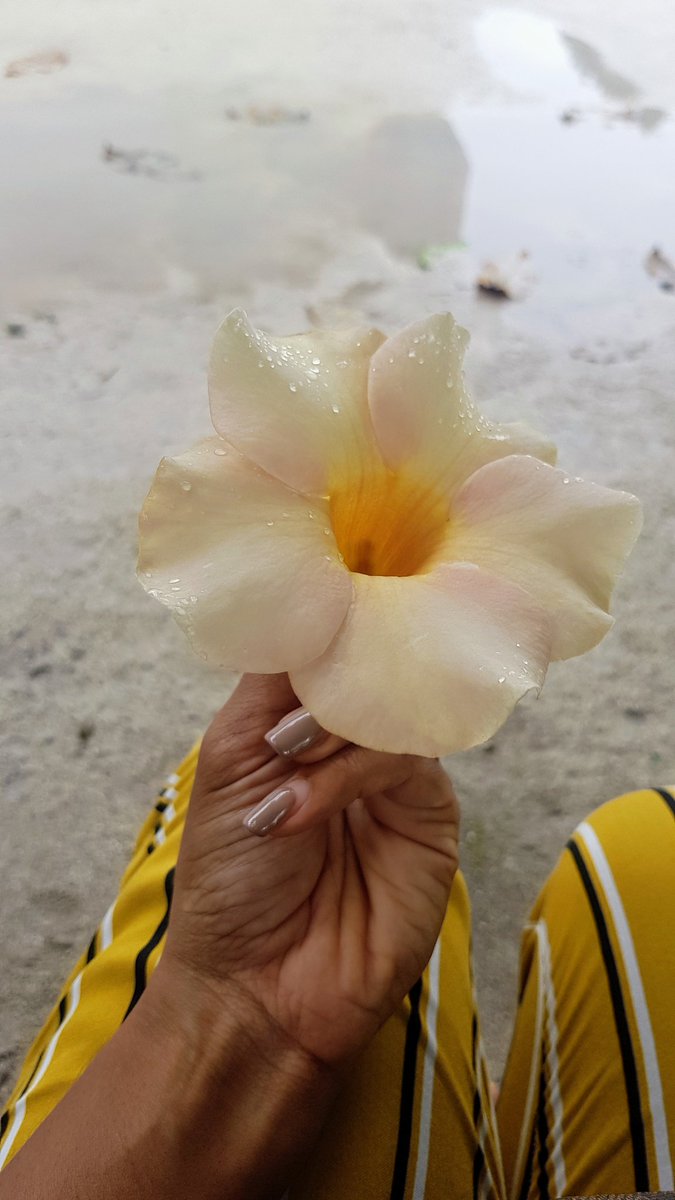Eid Mubarak ❤
