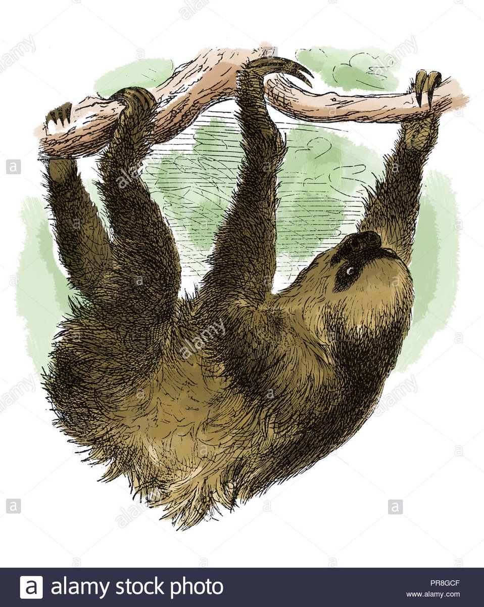 HINDRANCE # 3: “THINA - MIDDA” (or - sloth and torpor)These promote a certain drowsiness which inhibits correct action and ascension. There are many root causes: overindulgence in food, drink and drugs...too much sleep, or a practiced aversion to various people and situations.