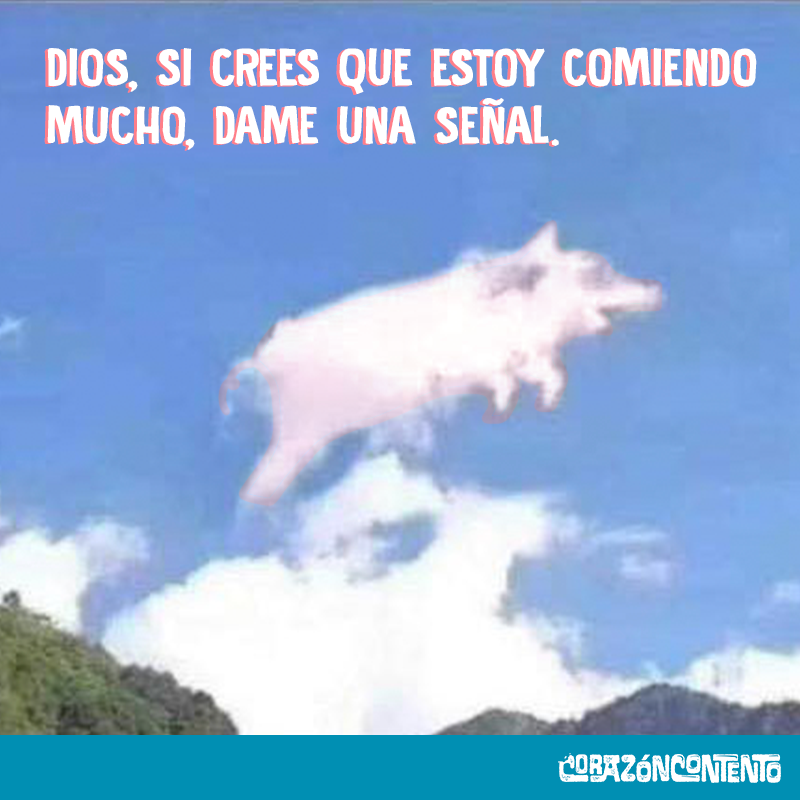 seriecorazon's tweet photo. Cuando te das una asomadita a la ventana en la cuarentena: https://t.co/uSrKULoWJm