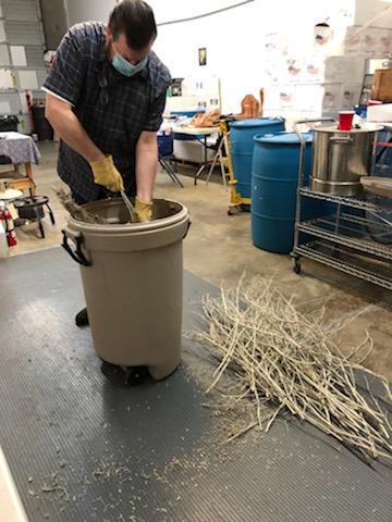 PacificDistill's tweet image. Stripping Wormwood (Artemisia absinthium) harvested from our garden. It will soon be distilled into Pacifique Absinthe.