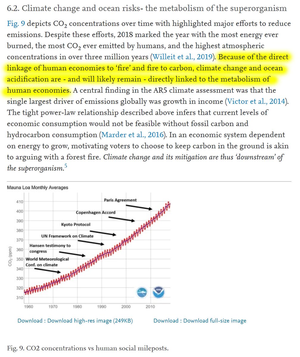 43/60 6.2. Climate change - the metabolism of the superorganism"Because of the direct linkage of human economies to 'fire' and fire to carbon, climate change and ocean acidification are - and will likely remain - directly linked to the metabolism of human economies."