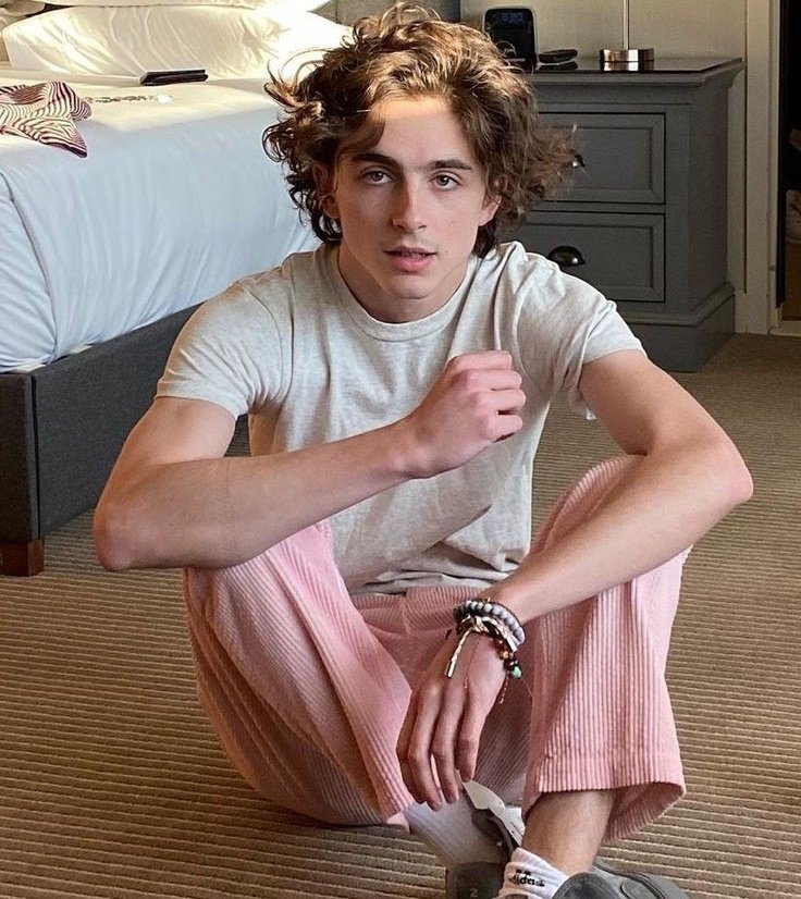 a thread of timothée chalamet but he gets older as you keep scrolling 