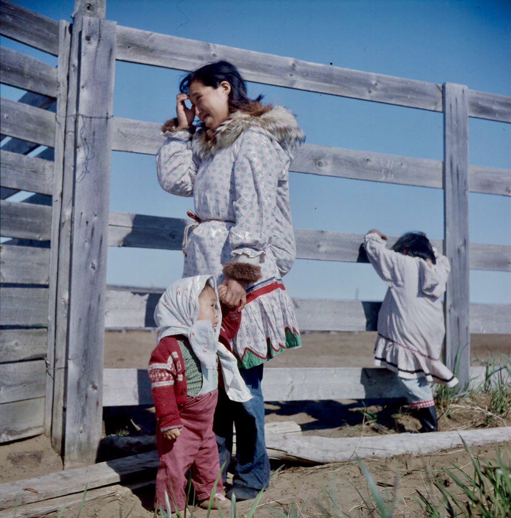 ‘Woman with children watching reindeer roundup’ ~ (Inuvialuit) ~ near Tuktoyaktuk, NWT. Summer, 1956 (unnamed)

Photo: Rosemary (Gilliat) Eaton
[LAC]