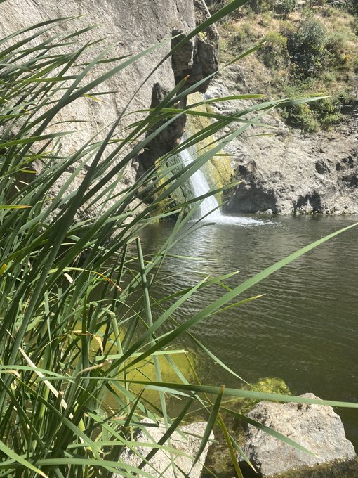 🤤😇✨🏃🏻&zwj;♀️💦 https://t.co/N5RjLS8YQG<a href="/tag/protests2020"class="tags"><span>#protests2020</span></a><a href="/tag/miamiprotest"class="tags"><span>#miamiprotest</span></a><a href="/tag/miamipd"class="tags"><span>#miamipd</span></a>