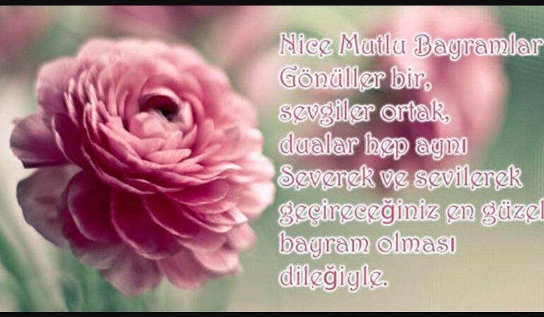 Nurdoğan ÖZ (@nurdogan_oz) on Twitter photo 