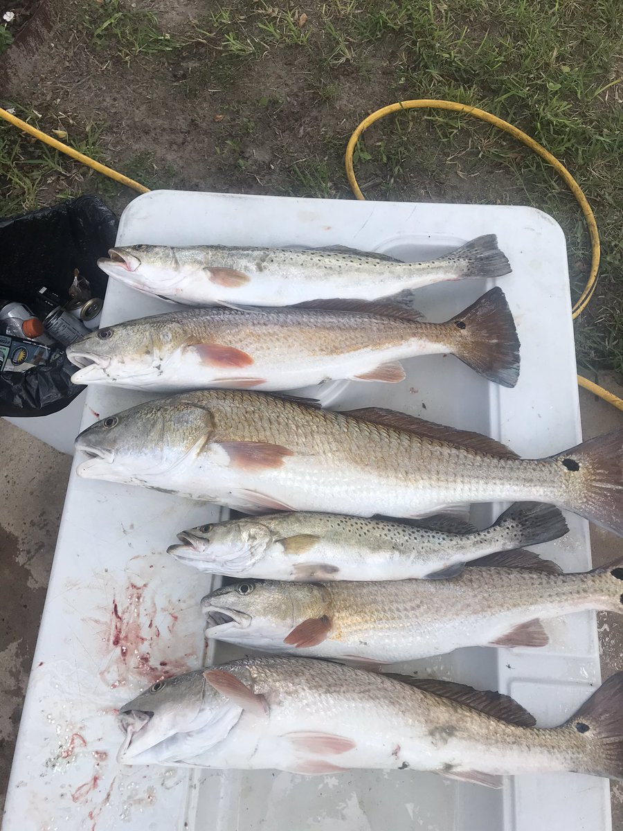 fred_wicker's tweet photo. This is how you relax! #fishtexas #teacherrecharge https://t.co/Km4eaNMcYo