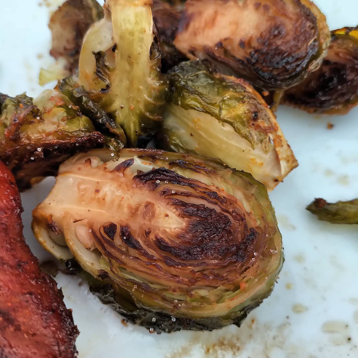 FedoraForMe's tweet photo. Gorgeous thick cut pork chops reverse seared on the @traegergrills Ironwood 885 served with some outstanding roasted brussel sprouts and grelot potatoes. What an awesome woodfired meal! #TraegerGrills #Ironwood885 #Pro34 #smoker #TRAEGERhood #TraegerOn #traegerpelletheads #Foodie https://t.co/BzS20IFlzL