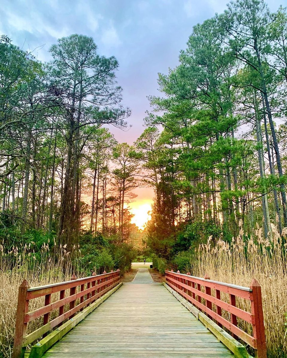 757collective's tweet photo. Photo by @katelynleymckee in Chesapeake, Virginia. https://t.co/AgeEmGWb29