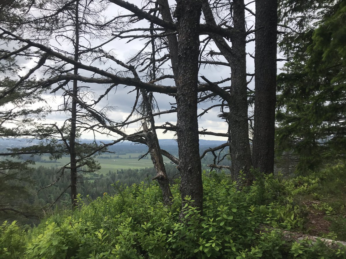 raw_sugar_'s tweet photo. I went outside pt.2 I only died a little bit on the way up. https://t.co/FVSAR8rTZV