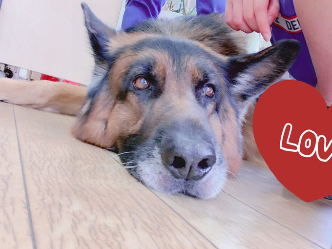 Twitterのコスプレ画像40