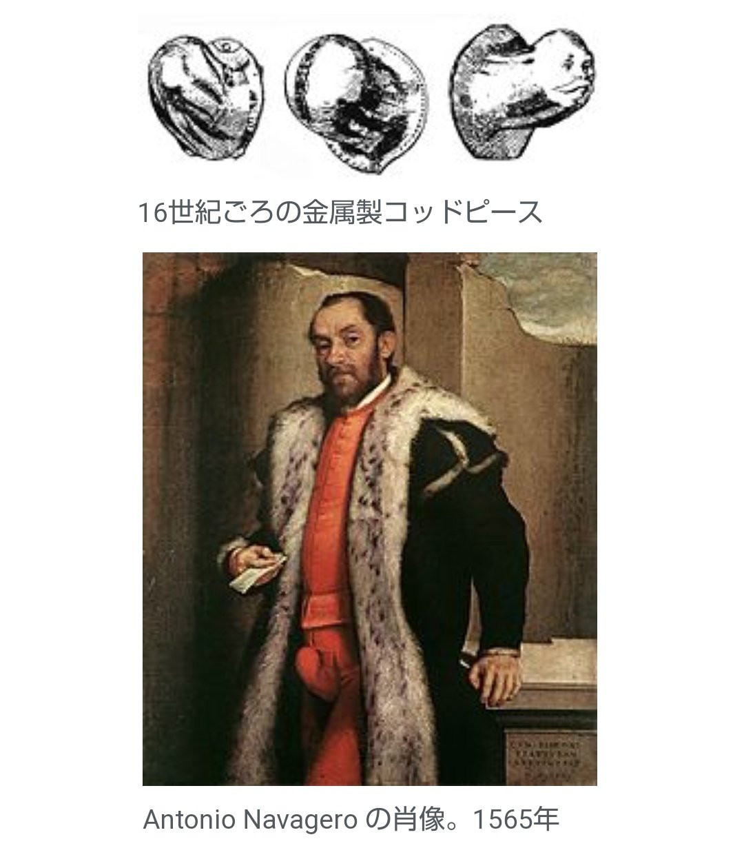 うぱこ このコッドピースを私はち こベルトって呼んでます T Co Obntaubxpl Twitter