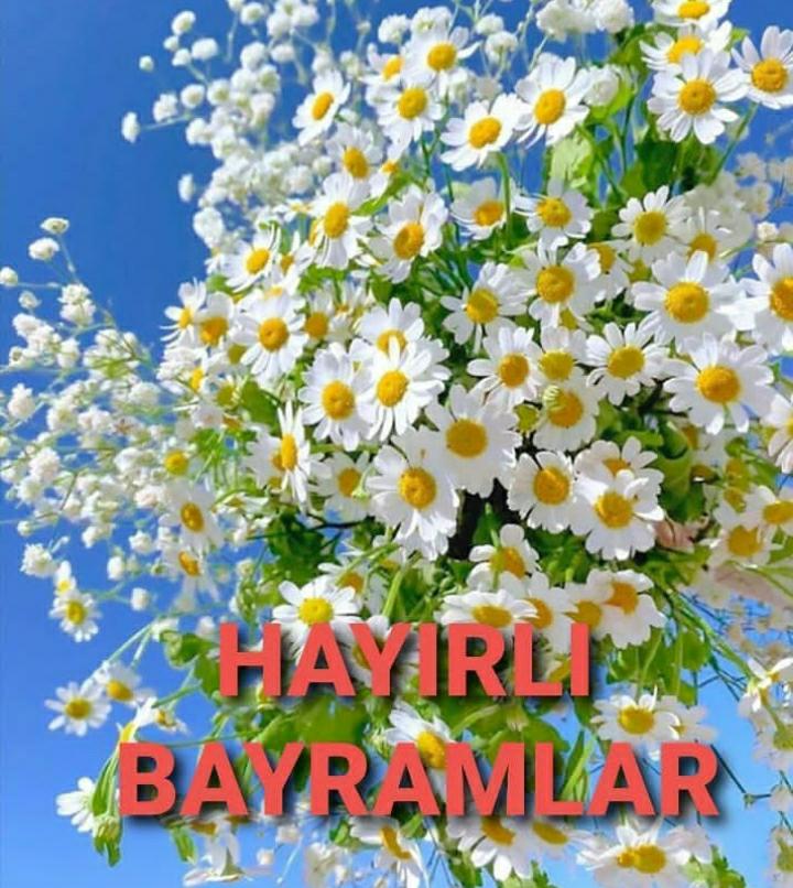 İyi bayramlar 4 gün yasak ama bana yok dışardan isteği olan dm atabilir 🍻🍻🍒🍒yasaksizim