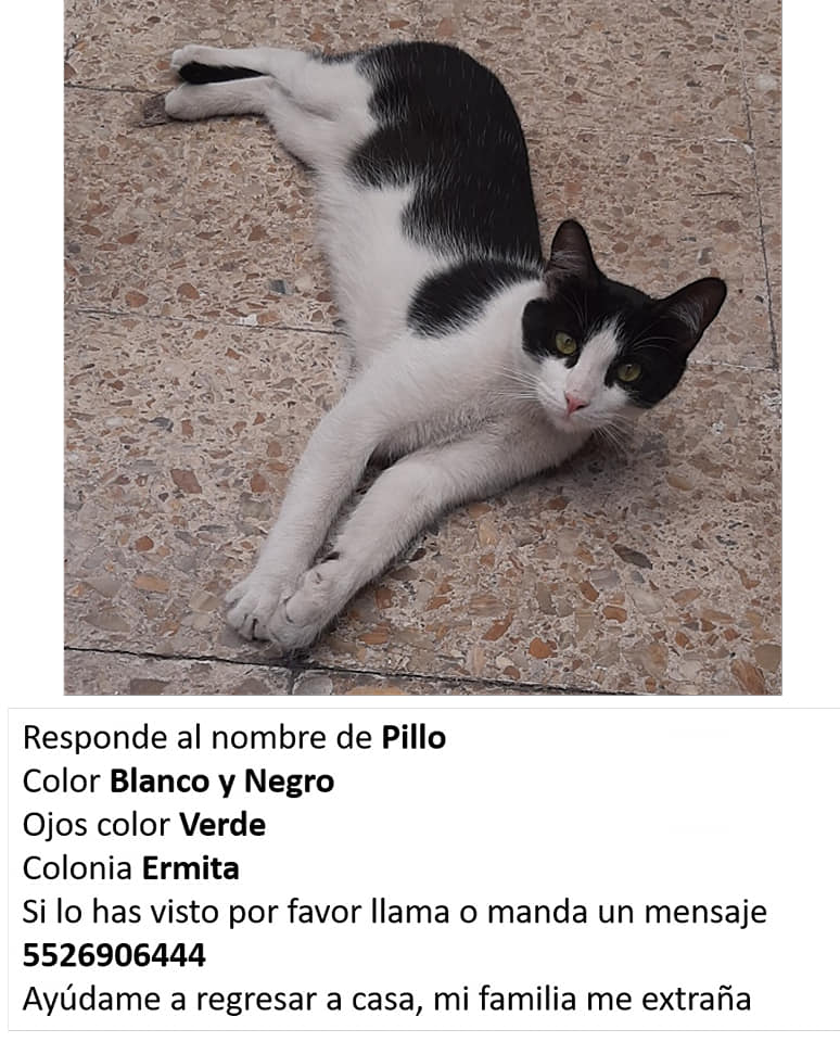 #SeBusca en <a href="/ColoniaErmita/">COLONIA ERMITA</a>