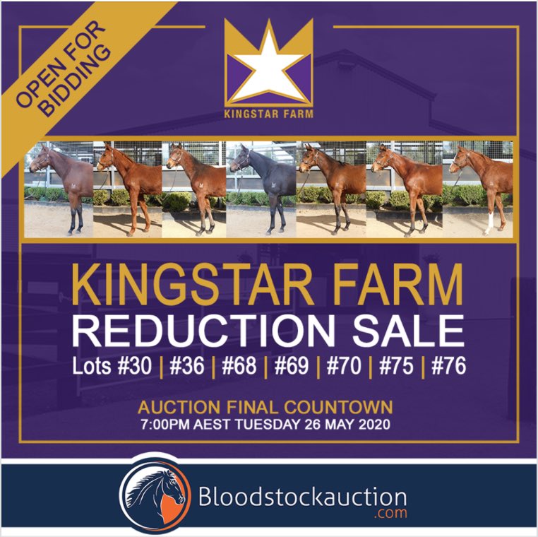 KingstarFarm's tweet photo. Looking for the perfect Pinhook??@KingstarFarm reduction is now live! Make sure to bid early to avoid missing out!
Featuring progeny by #BullPoint #FlyingArtie #Dissident &amp; #LordOfTheSky
👀View Catalogue: https://t.co/lUEP4z2pdS https://t.co/rb3myswUe5