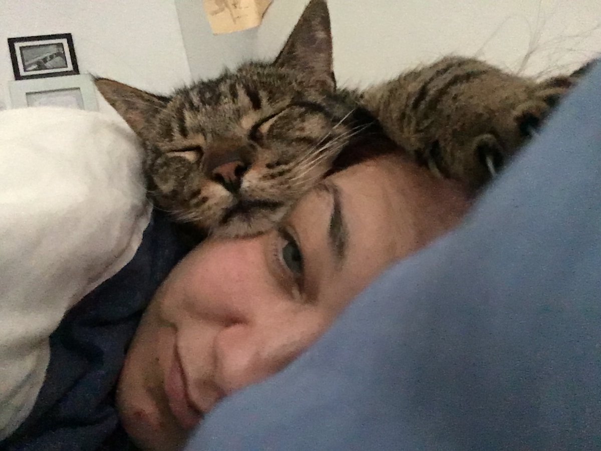 TGBMcCray's tweet photo. Took this yesterday. Safe to say he’s pretty comfortable here these days. #Bookitty #ratrodcat https://t.co/v5yq5HhTBy