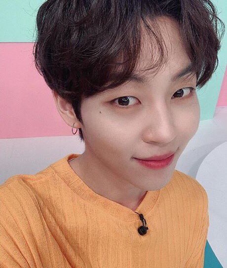 hi i love him. his voice. his smile. his little freckle near his eye. i love woosung. 