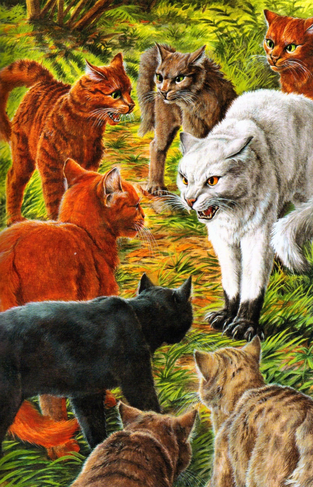 Warrior Cats Characters Wall Art for Sale