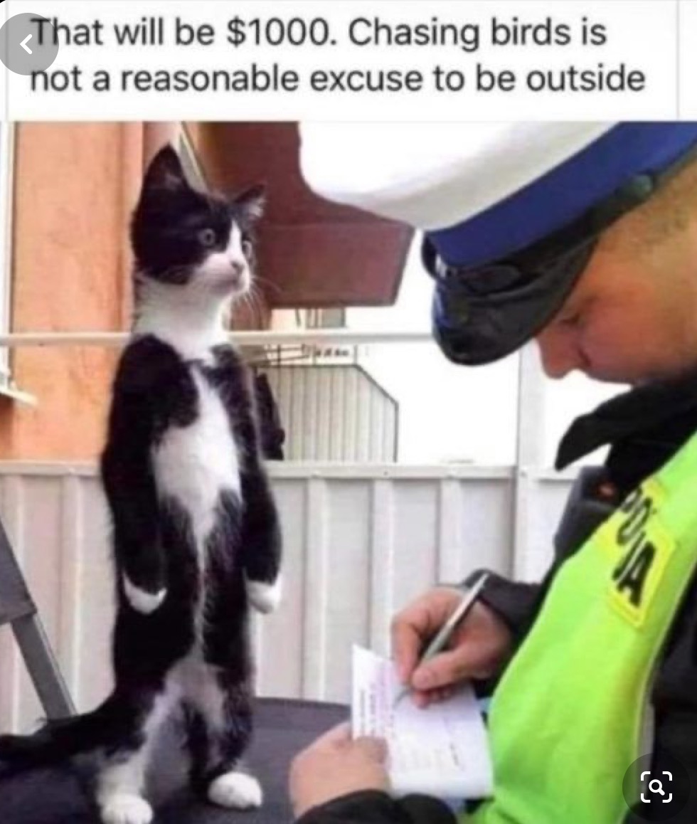 GeneralBazz's tweet photo. #zshq 🥳🤩😂🤣🥳🤩😂🤣 https://t.co/aco7usvm2v
