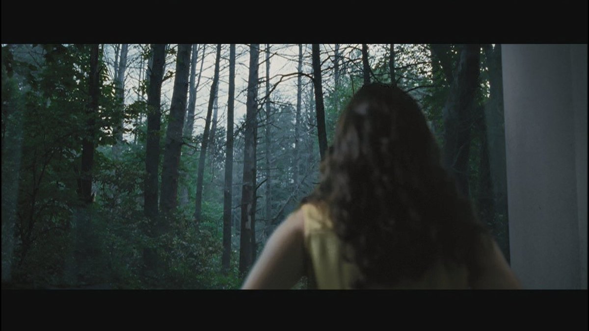 n e way i think this is a live feed to her woods and that's also how Plutarch knew she could hunt and yeah conspiracy