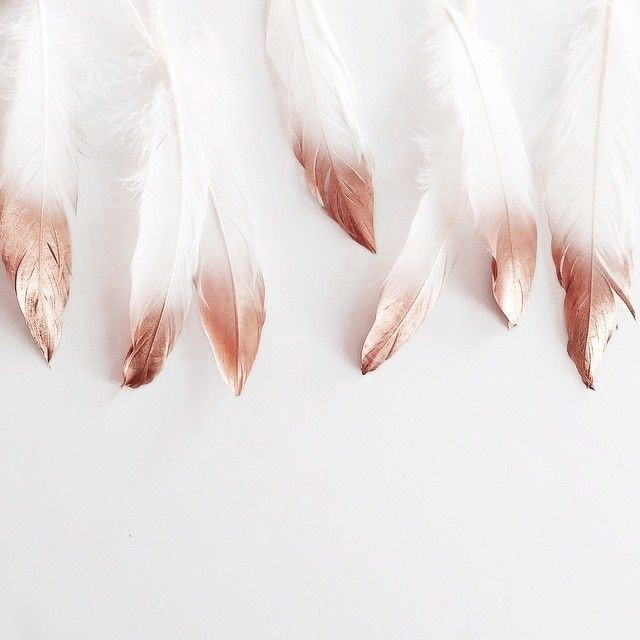 ⠀
⠀⠀⠀⠀⠀⠀⠀⠀⠀⠀𝒔𝒑𝒂𝒓𝒌𝒍𝒆. ✧