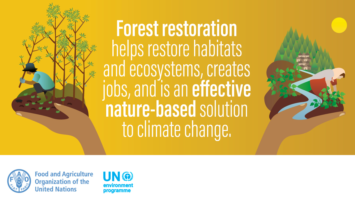 FAO Forestry on Twitter "Forest restoration helps restore habitats