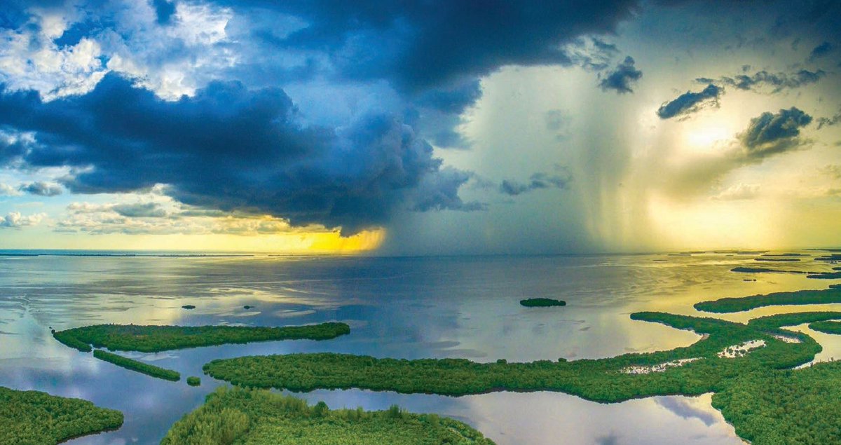 Coastal &amp; Heartland National Estuary Partnership (CHNEP) 2020 Watershed Summit is June 1-2 via Zoom. AWRA Florida is offering CEHs to attendees. More info at chnep.org/watershed-summ…