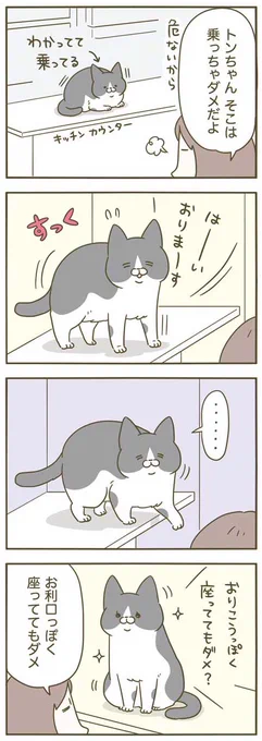 ねばってみる猫 